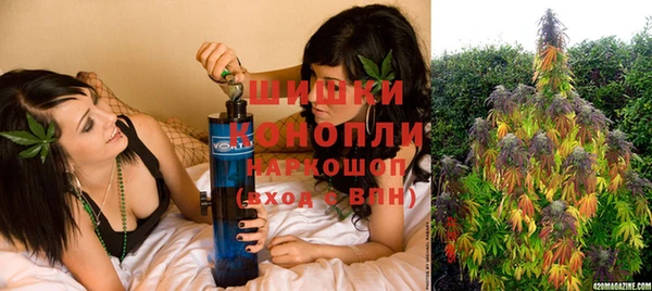 PSILOCYBIN Баксан